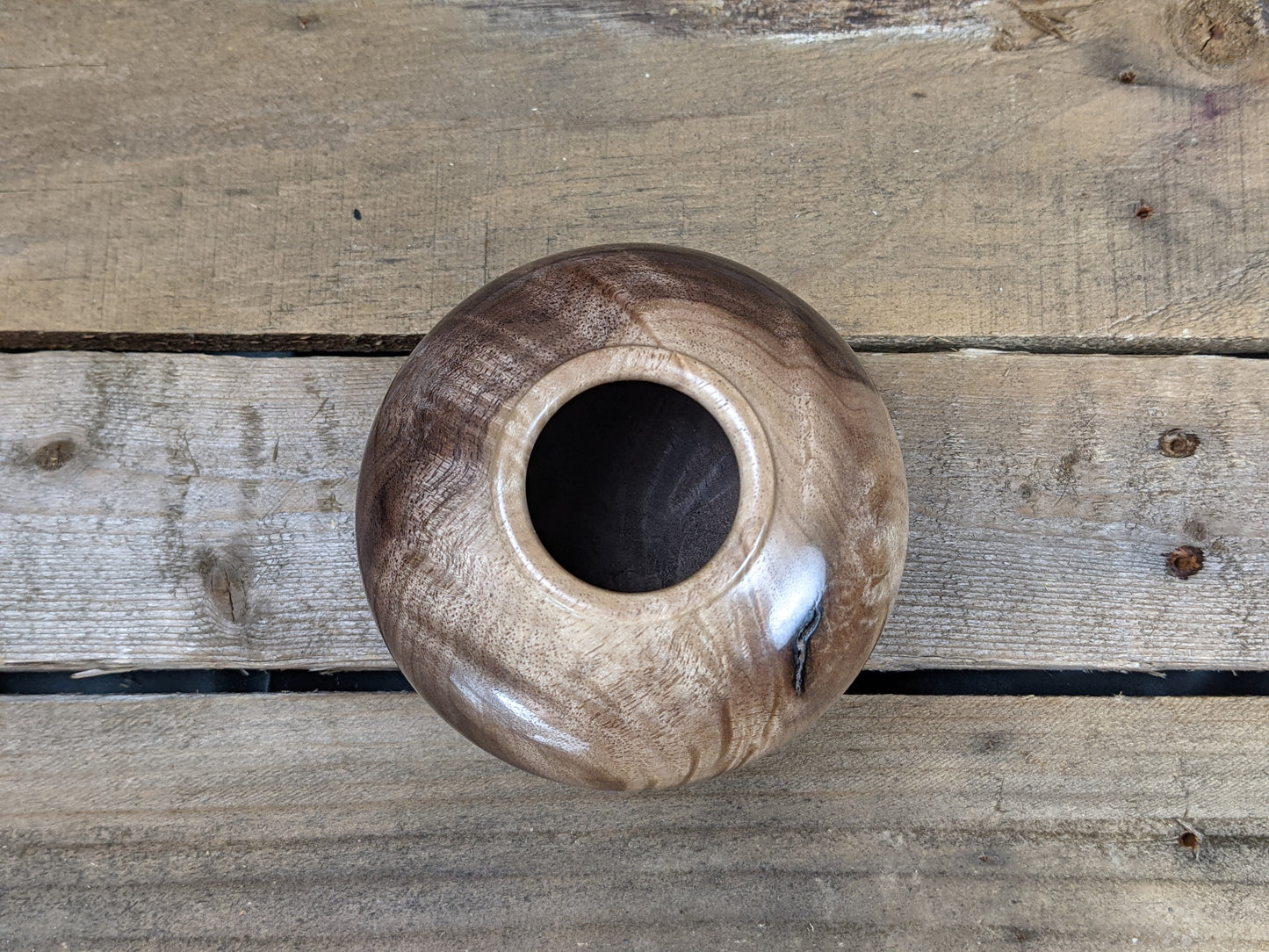 Black walnut hollow form