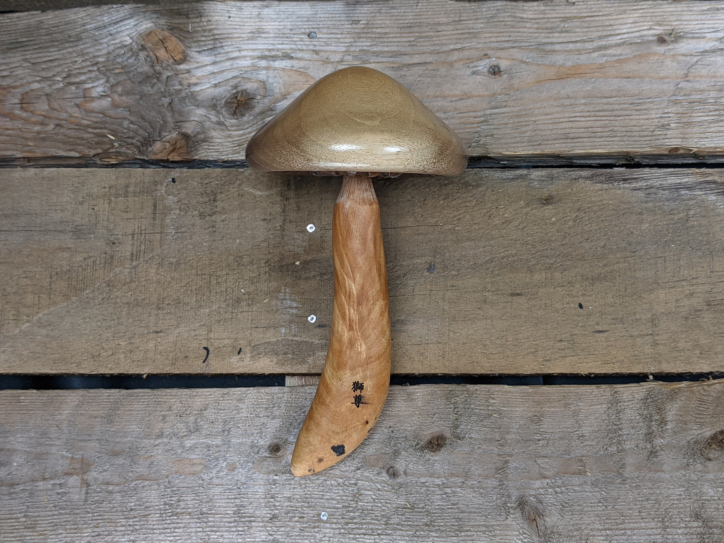 Black walnut and figured spalted maple darning mushroom
