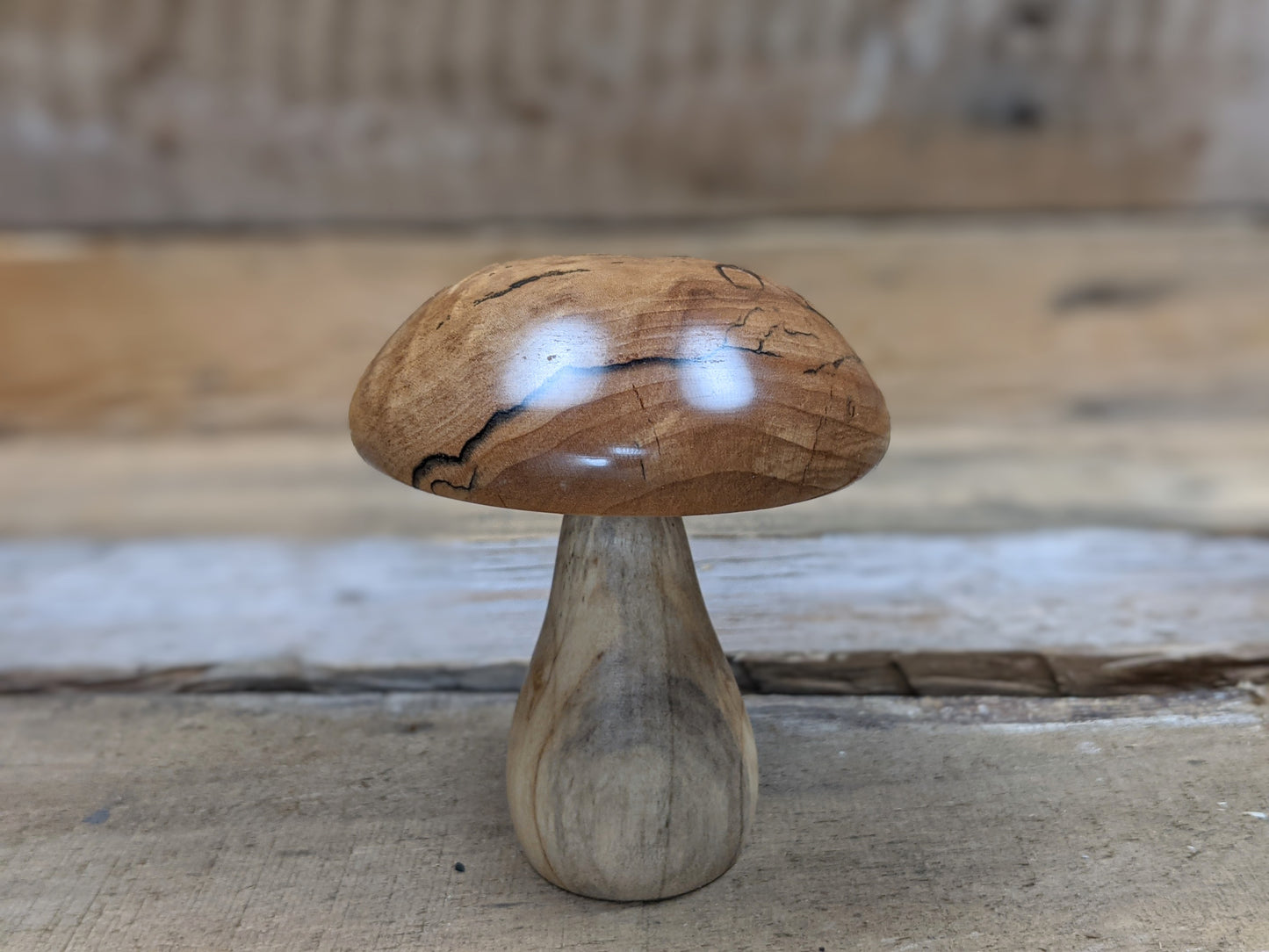 Figured, spalted maple and cottonwood mushroom