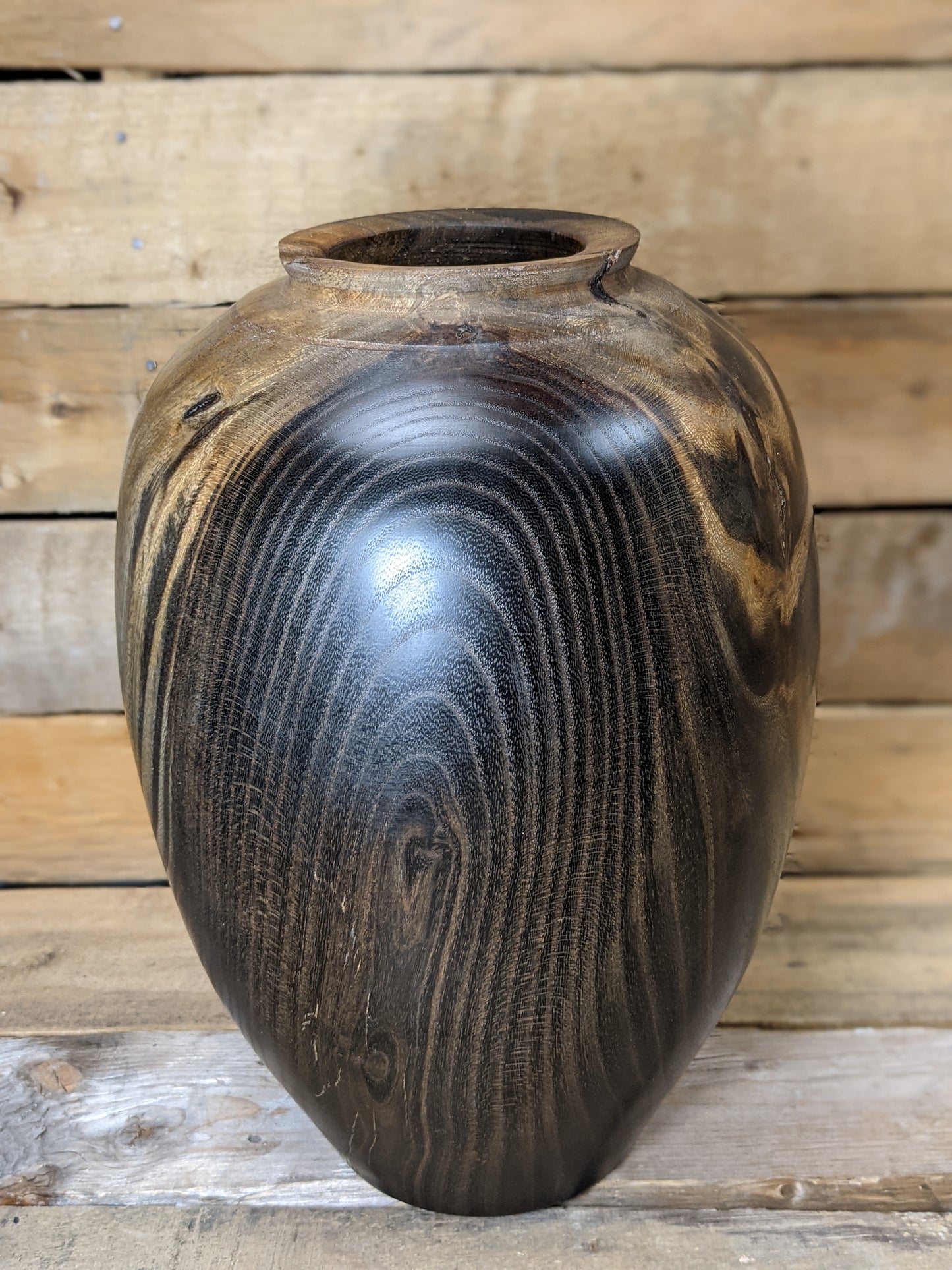 Ebonized honey locust dry vase