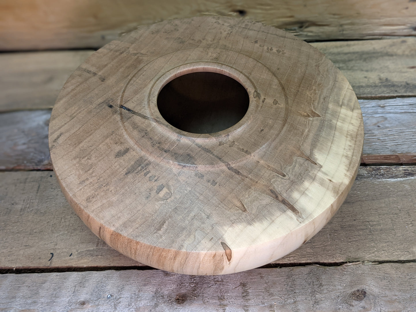 Silver maple hollow form