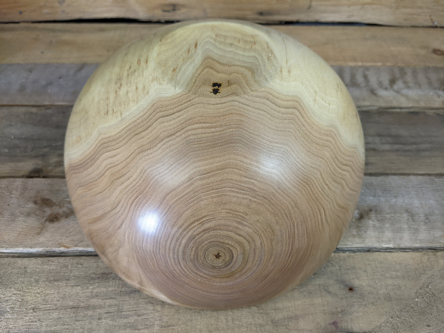 Large butternut walnut bowl